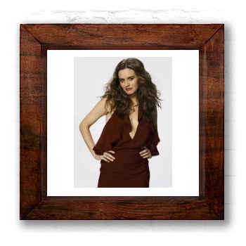 Alicia Silverstone 6x6